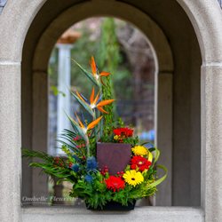 Ombelle Fleuriste