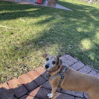 Happy Tails Dog Park - Dog Parks Near Me - Plantation, Florida Happy Tails Dog Park - Dog Parks Near Me - Plantation, Florida