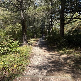 Young Boulder - trail to Young Boulder - Landmarks & Historical Buildings Near Me