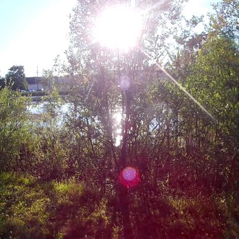 Hidden Pond - Parks Near Me - Hingham, Massachusetts Hidden Pond - Parks Near Me - Hingham, Massachusetts