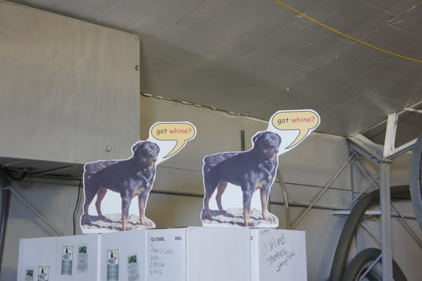 BobDog Wines by null