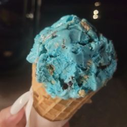 Always Ice Cream - Cookie Monster was perfect, the balance of cream and sweet, chocolate chunks and cookie folded in was bliss. Waffle cone fresh!