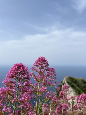 Monte Solaro Chair Lift by null