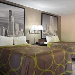 Super 8 by Wyndham Taylorville IL - Guest room