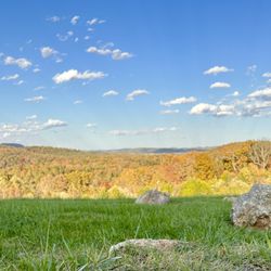 Lexington Valley Vineyard - Beautiful fall foliage