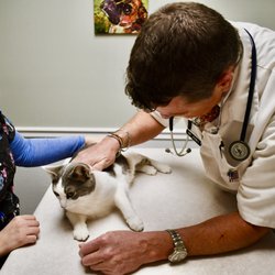 Cross Keys Animal Clinic