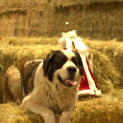 Meadowbrook Farm