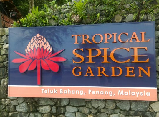 Tropical Spice Garden by null