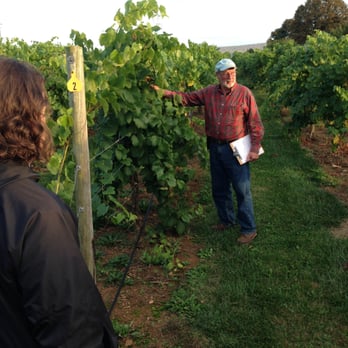 Happy Valley Vineyard and Winery - Elwin discussing his grapes during a Smeal MBA Net Impact event. - Wineries Near Me - State College, Pennsylvania