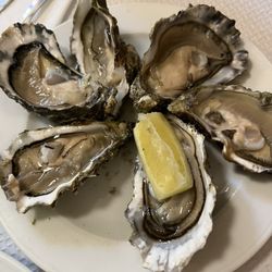 Buvette de la Halle - Oysters