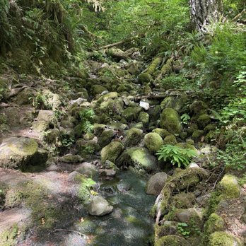 Silver Falls State Park - Hiking Near Me - Sublimity, Oregon
