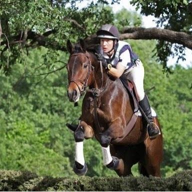 Windsor Equestrian - equestrian in Dripping Springs, TX