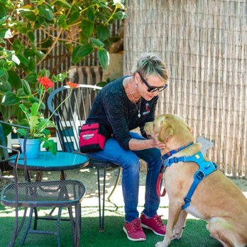 Doggywood - Pet Training Near Me Doggywood - Pet Training Near Me