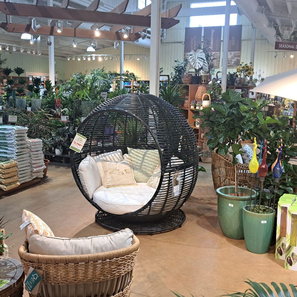 Armstrong Garden Centers - Indoor plant section - Nurseries & Gardening Near Me - Thousand Oaks, California Armstrong Garden Centers - Indoor plant section - Nurseries & Gardening Near Me - Thousand Oaks, California