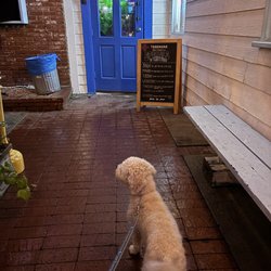 Apparently Finn's fav place Rain or Shine!