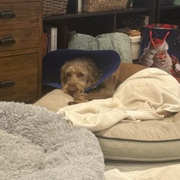 Recovering Recovering