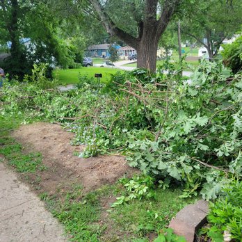 Treemen Services - Tree Services Near Me