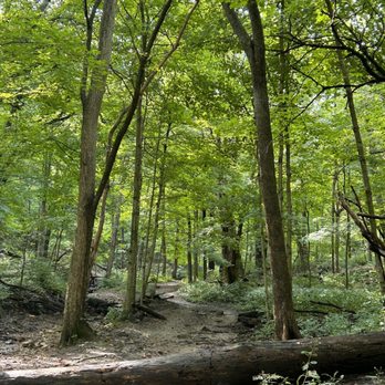 Swallow Cliff Woods - Hiking Near Me - Palos Hills, Illinois Swallow Cliff Woods - Hiking Near Me - Palos Hills, Illinois