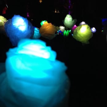 Art in the Dark - The park was alight with fairy flowers... - Local Flavor Near Me - Auckland, AUK