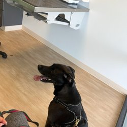 Murrieta Oaks Veterinary Hospital