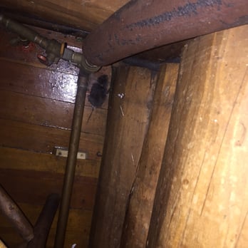 The Birches Resort - Under my table. Yes..a rat!! - Resorts Near Me - Rockwood, Maine