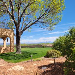 Affordable Irrigation - Trees, grass, shrubs.