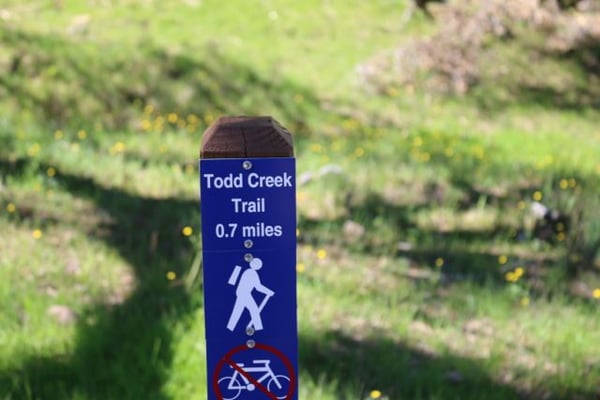 Taylor Mountain Regional Park by null