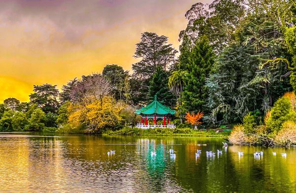 Golden Gate Chinese Pavilion by null