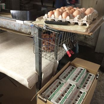 Stamp Egg Farms - Fresh eggs - Farmers Market Near Me - Johnston, Rhode Island