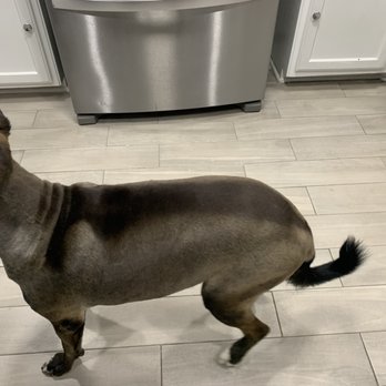 Pretty Paws Boutique - Pet Sitting Near Me - Longview, Texas Pretty Paws Boutique - Pet Sitting Near Me - Longview, Texas
