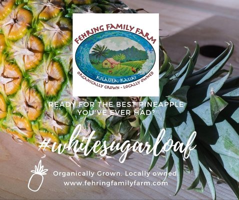 Fehring Family Farm by null