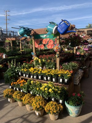 Ace Hardware of West LA by null
