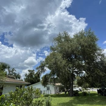 Triple A Tree Services - After - Tree Services Near Me - Riverview, Florida Triple A Tree Services - After - Tree Services Near Me - Riverview, Florida