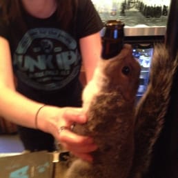 Squirrel Coozie Squirrel Coozie