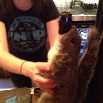 BrewDog Aberdeen - Squirrel Coozie - Bars Near Me - Aberdeen, ABE BrewDog Aberdeen - Squirrel Coozie - Bars Near Me - Aberdeen, ABE