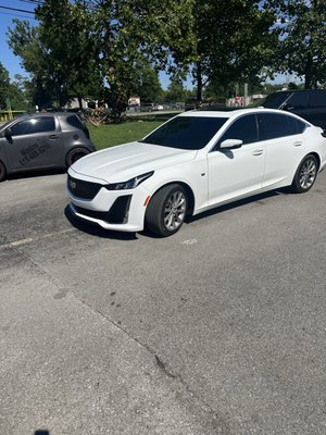 GT WINDOWS TINT by null