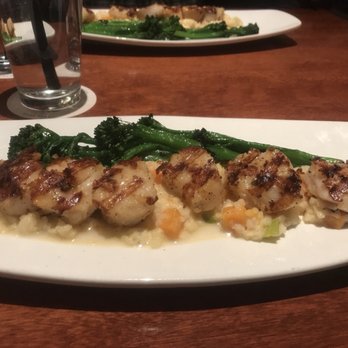 Seasons 52 - Caramalized Grilled Sea Scallops - New American Near Me - Mclean, Virginia