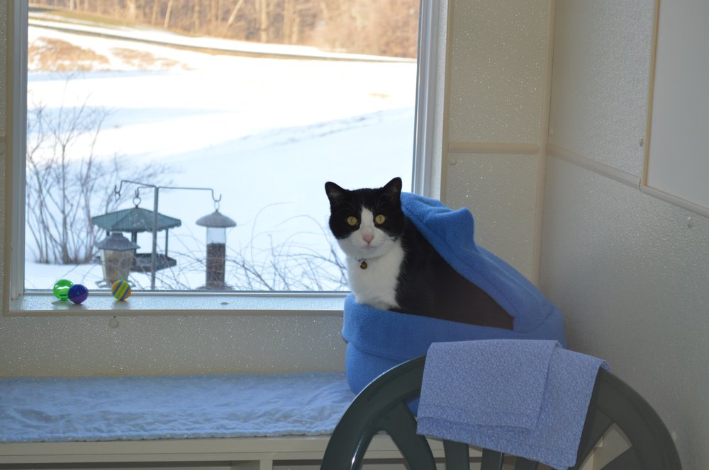 THE COUNTRY KITTY B & B Updated September 2024 1195 Ridge Rd