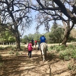 Triple H Equitherapy - On the trail!