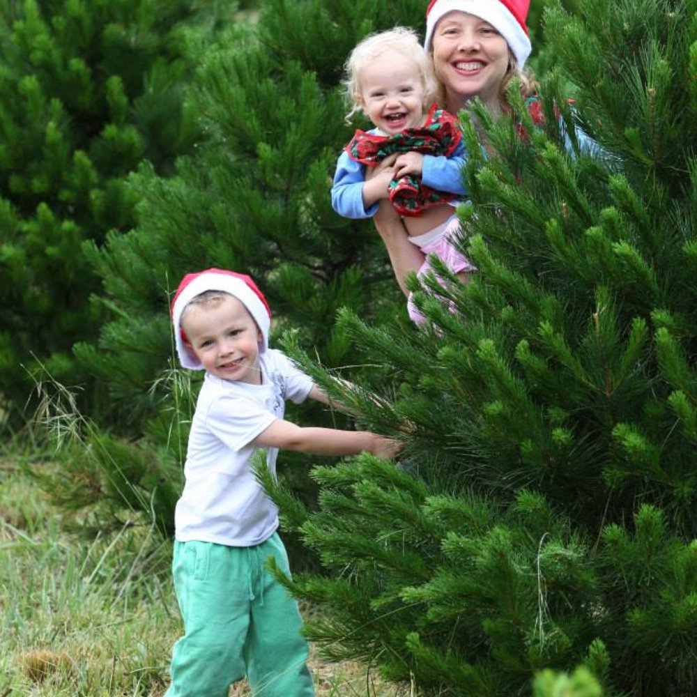 TOP 10 BEST Christmas Trees near Bacchus Marsh Victoria 3340, Australia -  Updated 2025 - Yelp, image size:1000x1000