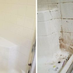 Bass Janitorial & Cleaning