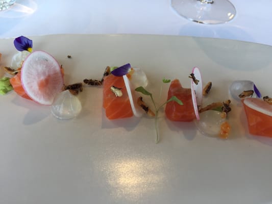 Levantine Hill Estate by null