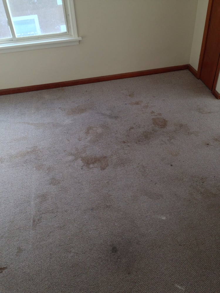 WELLDONE CARPET CLEANING Canton, Ohio Carpet Cleaning Phone