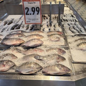 Seafood City Supermarket - I picked one with clear eyes. - Filipino Near Me - Irvine, California Seafood City Supermarket - I picked one with clear eyes. - Filipino Near Me - Irvine, California