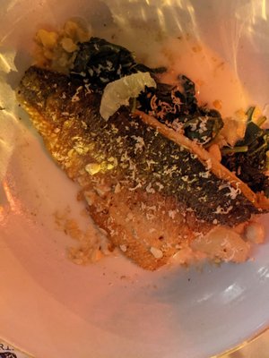 Brine Oyster • Crudo • Chops by null