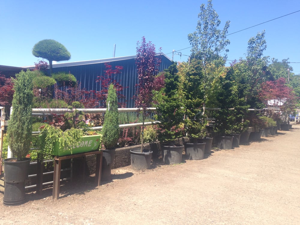 Lopez Nursery Closed 11 Photos Nurseries Gardening 11418 Nurseries Gardening