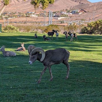 Hemenway Valley Park - Recreation Centers Near Me - Boulder City, Nevada Hemenway Valley Park - Recreation Centers Near Me - Boulder City, Nevada