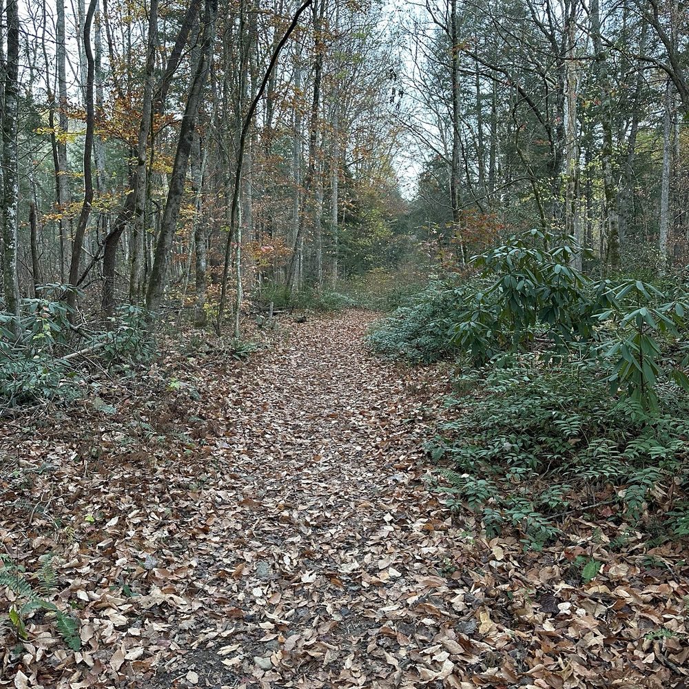 Mynatt Park - Parks Near Me - Gatlinburg, Tennessee