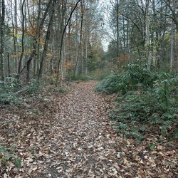 Mynatt Park