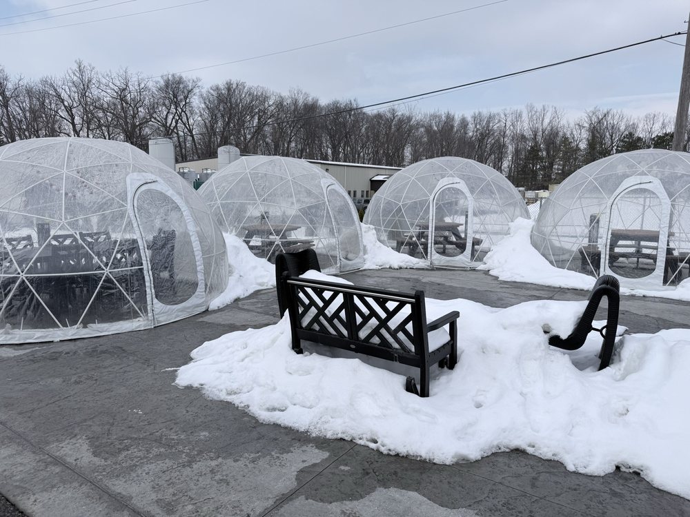 The Hive Coffee House Logo